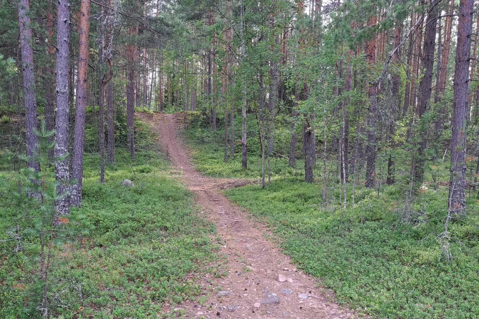 Neulaspolkua Hiittenharjulla